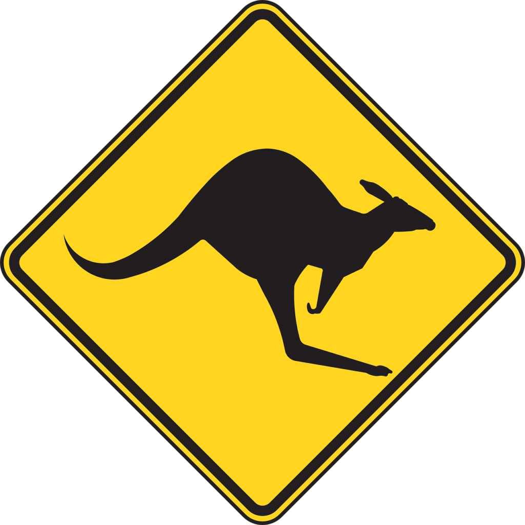 warning, kangaroo, roadsign-40593.jpg